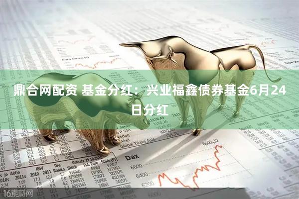 鼎合网配资 基金分红：兴业福鑫债券基金6月24日分红