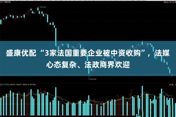 盛康优配 “3家法国重要企业被中资收购”，法媒心态复杂、法政商界欢迎