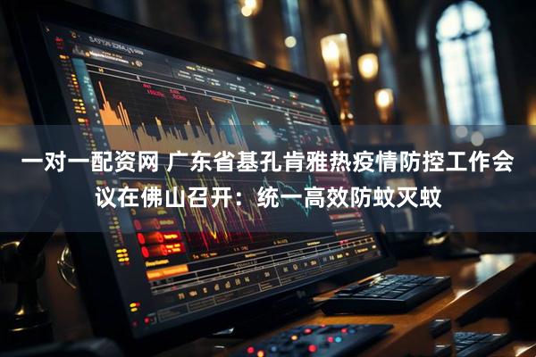 一对一配资网 广东省基孔肯雅热疫情防控工作会议在佛山召开：统一高效防蚊灭蚊