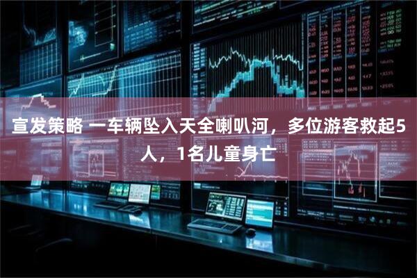 宣发策略 一车辆坠入天全喇叭河，多位游客救起5人，1名儿童身亡