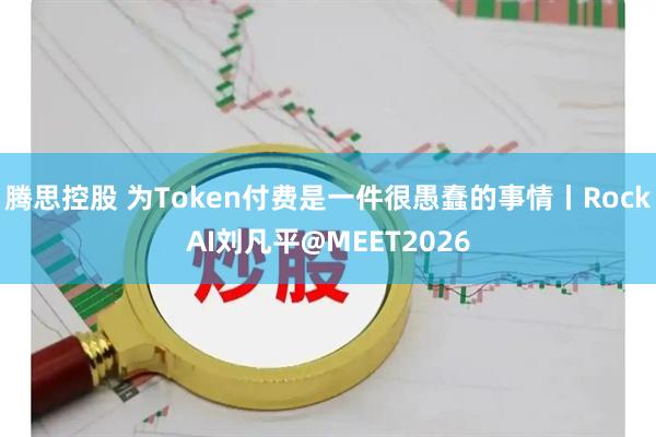 腾思控股 为Token付费是一件很愚蠢的事情丨RockAI刘凡平@MEET2026