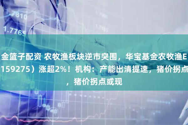 金篮子配资 农牧渔板块逆市突围，华宝基金农牧渔ETF（159275）涨超2%！机构：产能出清提速，猪价拐点或现